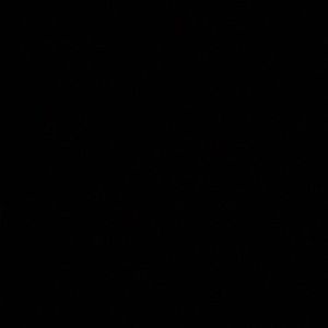 Meet your Posher, Adrianna